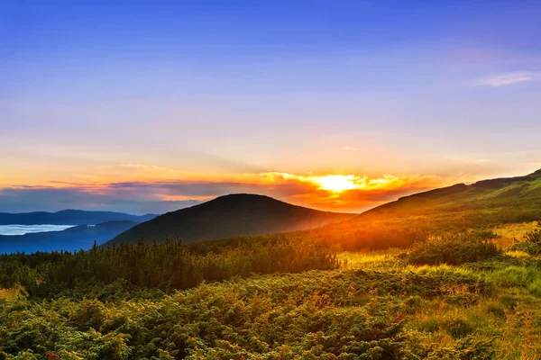 Güzel gündoğumu, sabah şafak Karpat Dağları, Ukrayna.
