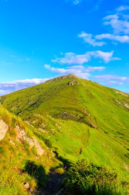 Pitoresk Karpat dağları manzara, sırt görünümü, Ukrayna.