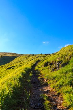 Karpat dağları manzara, parlak mavi gökyüzü altında sırtta iz, Ukrayna.