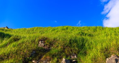 Karpat dağları manzara, bulutlar ile parlak mavi gökyüzü altında yeşil tepe, Ukrayna.