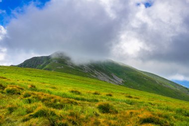 Güzel Karpat Dağları, doğa manzara yaz, Ukrayna.