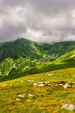 Pitoresk ve dramatik Karpat Dağları altında büyük yağmur bulutları, doğa manzara yaz, Ukrayna.