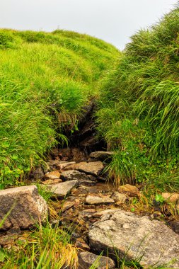 Karpatlar, kaynak suyu kaynağı