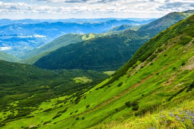 Yaz aylarında Pitoresk Karpat dağları manzara, yükseklikten görünümü, Ukrayna.