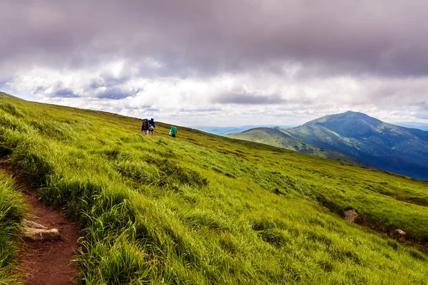 Groep toeristen wandelen in de Karpaten, natuur landschap, Chornogora ridge, Oekraïne. — Stockfoto