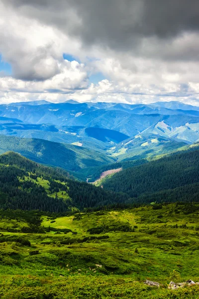 Pittoresco paesaggio montuoso dei Carpazi in estate, vista dall'alto, Ucraina . — Foto Stock