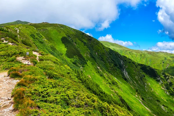 Malerische Karpatengebirgslandschaft im Sommer, Ukraine. — Stockfoto