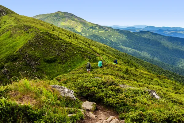 Touristengruppe beim Wandern in den Karpaten, Naturlandschaft, Chornogora-Kamm, Ukraine. — Stockfoto