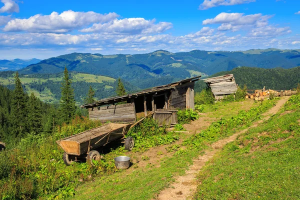 Huishoudelijke landschap in de Karpaten, Oekraïne. — Stockfoto