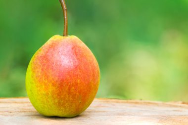 Ahşap masa, arka plan bulanık, seçici odak üzerinde bir olgun organik armut.