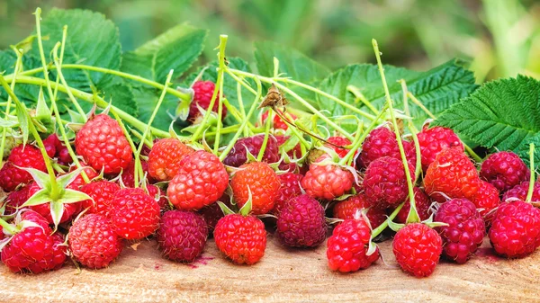 Freshly picked raspberries with leaf on wooden board, blurred background, selective focus. — Stock Photo, Image