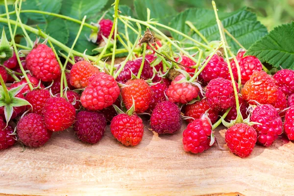 Freshly picked raspberries with leaf on wooden board, blurred background, selective focus. — Stock Photo, Image