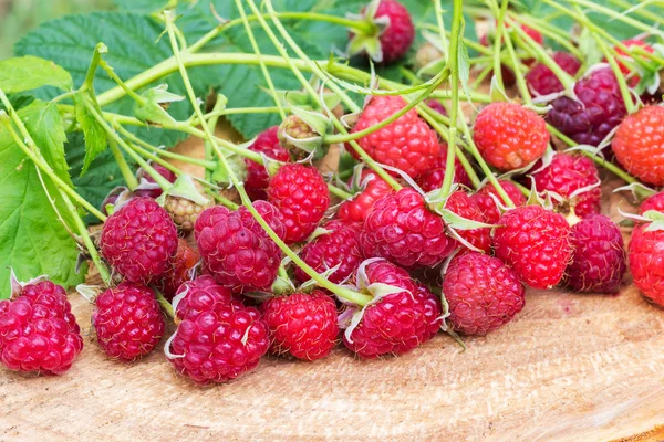 Freshly picked raspberries with leaf on wooden board, blurred background, selective focus. — Stock Photo, Image