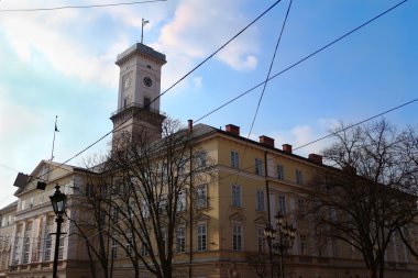 Lviv Belediye Meclisi, Belediye Binası