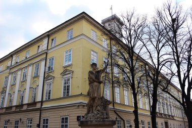 Lviv Kent Konseyi ve Adonis heykel