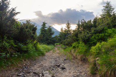 Toprak yol odun, Mount Petros, Karpatlar görünümlerini aracılığıyla