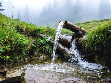 Carpathians, source of spring water, near mount Petros clipart
