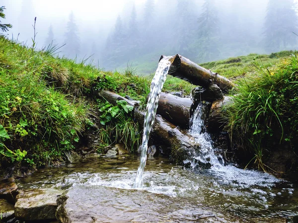 Karpaten, Quelle des Quellwassers, in der Nähe des petros-Berges Stockfoto