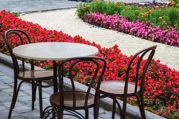 Masa ve sandalye yakınındaki çiçek yatak, Lviv şehir sokakta