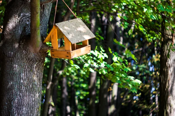 Casa de madera para pájaros en el parque, al aire libre —  Fotos de Stock