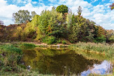 İnanılmaz renkli yatay, göl ve park Lviv