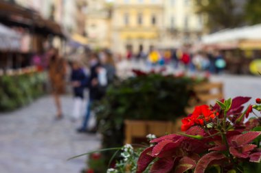 Bulanık şehir ve insanlar kentsel sahne, ön plan odaklanmak
