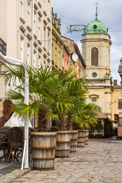 Ancienne rue de Lviv, mise au premier plan, fond flou — Photo