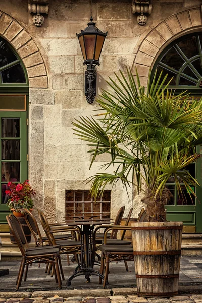 Chairs, tables under palm tree on ancient street of Lviv — Stock Photo, Image