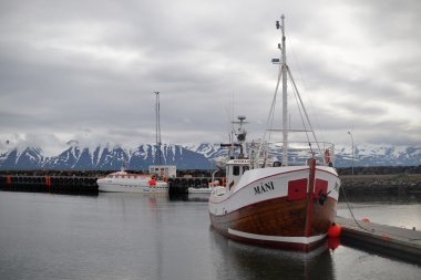 Dalvik