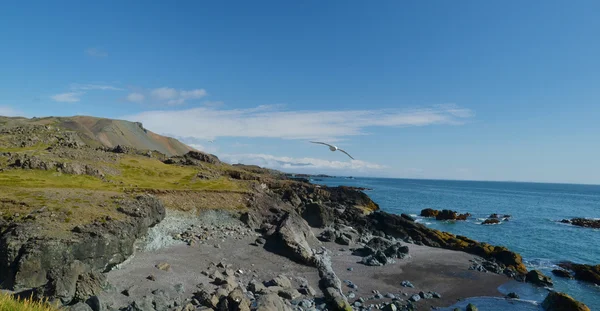 Djupivogur — Stockfoto