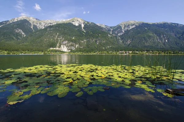 Carinzia — Stok fotoğraf