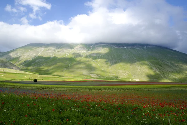 Castelluccio — Foto de Stock