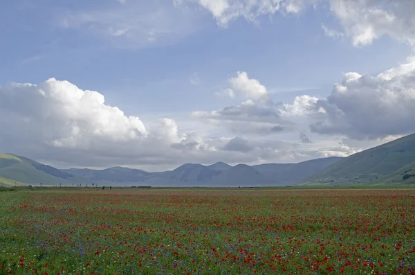 Castelluccio — Stok fotoğraf