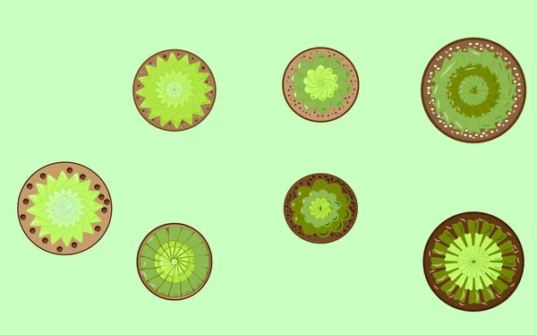 Set de plantes d'intérieur, petits succulents — Image vectorielle