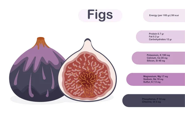 Fresh ripe delicious juicy figs whole and halved. Infographics — Stock Vector