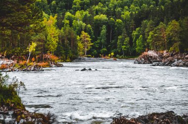 Altai Dağlarının manzarası 