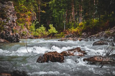 Altai Dağlarının manzarası 
