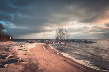 Sibirya 'da sonbahar plajı 