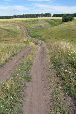 yol, tarla, orman kemeri, gün, sıcak, çimen, çayır, çiçekler, kır çiçekleri, vadi, rahatlama, kuru, toz, mesafe, yol, gökyüzü, güneş, ufuk, boşluk