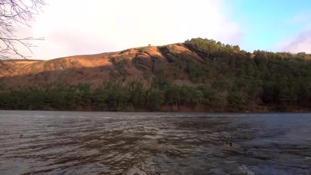 Озеро Глендалоу Англ Glendalough Wicklow Ireland Золота Година Качками Воді — стокове відео