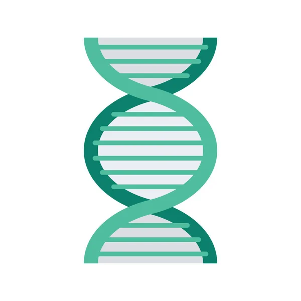 Dna Icono Salud Estilo Plano — Vector de stock