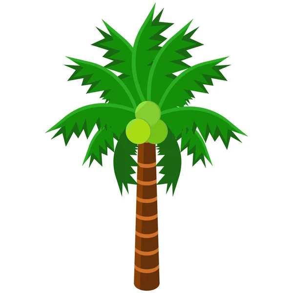 Elementen Natuur Palm Icoon Isometrische Stijl — Stockvector