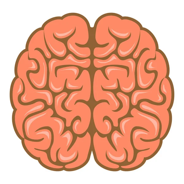 Brain Brainstorm Brainstorming Icon Flat Style — Stock Vector