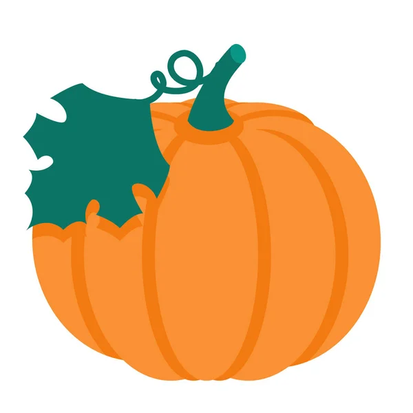 Food Pumpkin Vegetable Icon Flat Style — Stock Vector