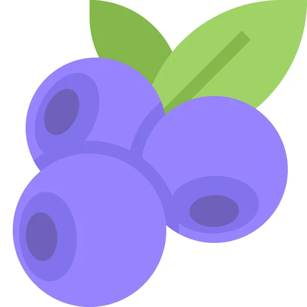 Blåbär Mat Frukt Ikon Jordbruk Jordbruk Och Trädgårdsskötsel Kategori — Stock vektor