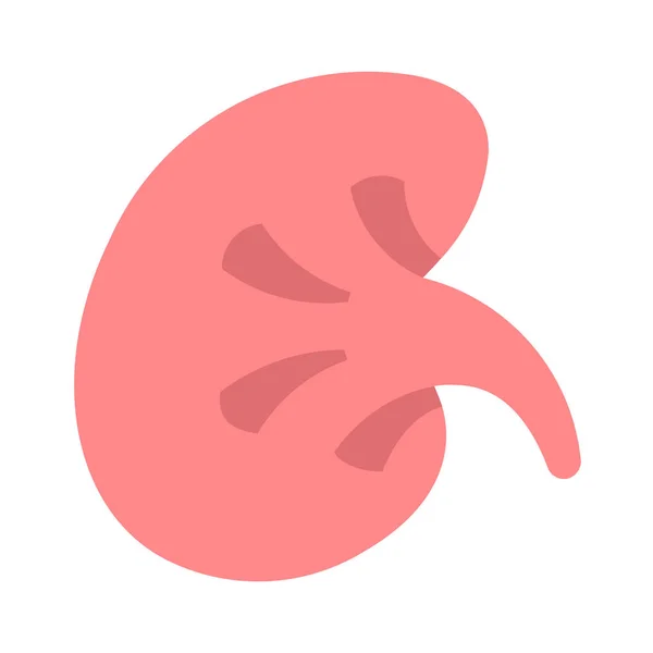 Anatomia Renal Ícone Plano Estilo Plano — Vetor de Stock