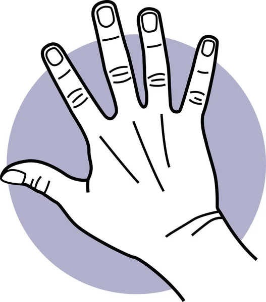 Hand Fingers Fingernails Icon — Stock Vector