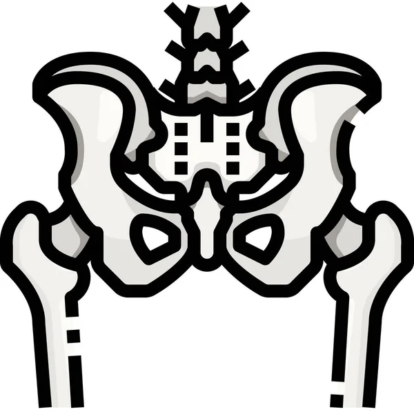 Anatomie Hanche Icône — Image vectorielle