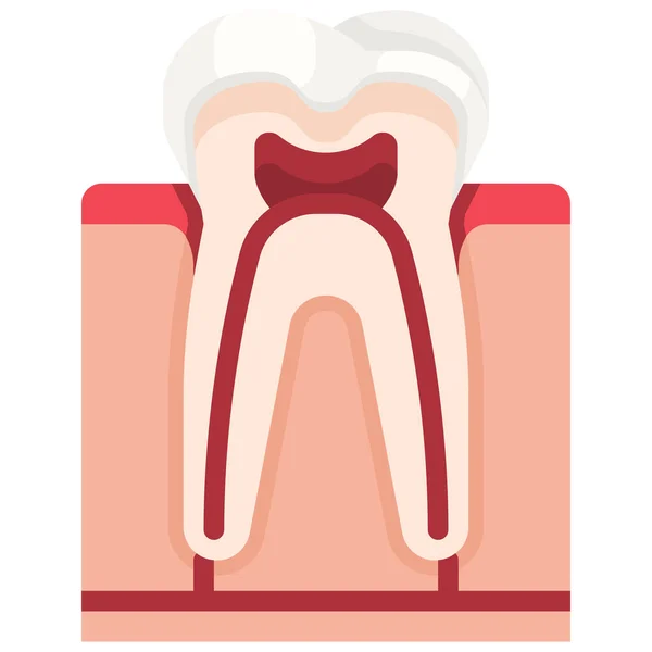 Ícone Molar Dentista Dentário —  Vetores de Stock