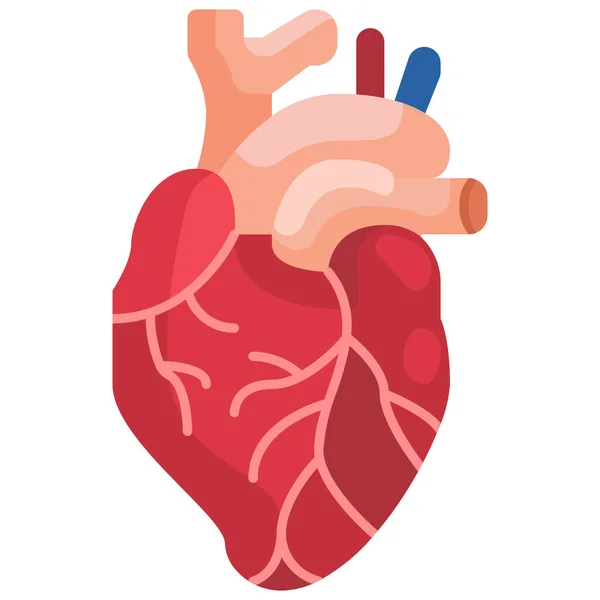 Cardiocardiocardiologie Cardiovasculair Icoon — Stockvector